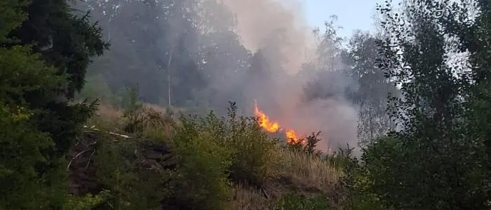 Der Waldbrand bei Pernegg vernichtete nach ersten Schätzungen 1000 Quadratmeter Waldbestand