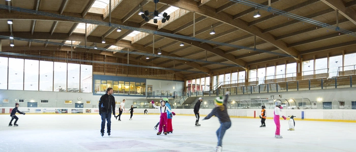 Die bestehende Eishalle in Frohnleiten wird es als solche nicht mehr geben, Pläne für eine neue Halle wurden nun fixiert