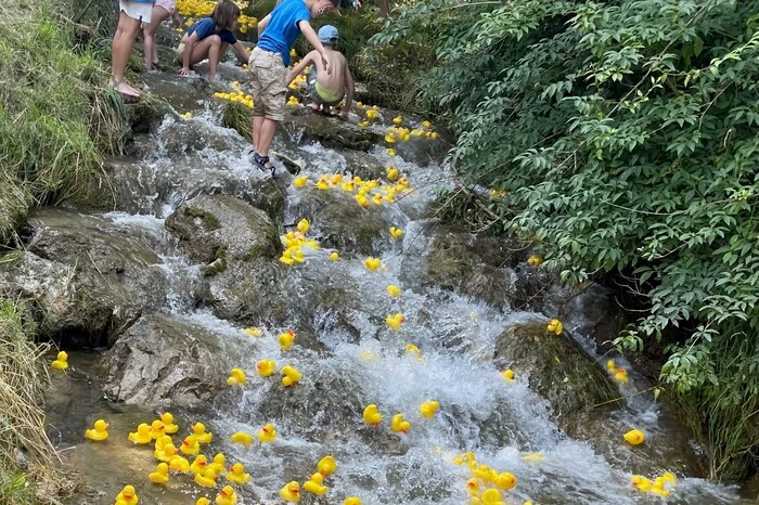 ... denn die Protagonisten beim 11. Entenrennen des Rotary Clubs Graz Umgebung in Rein verbrachten den heißen Tag schwimmend im Bach ...
