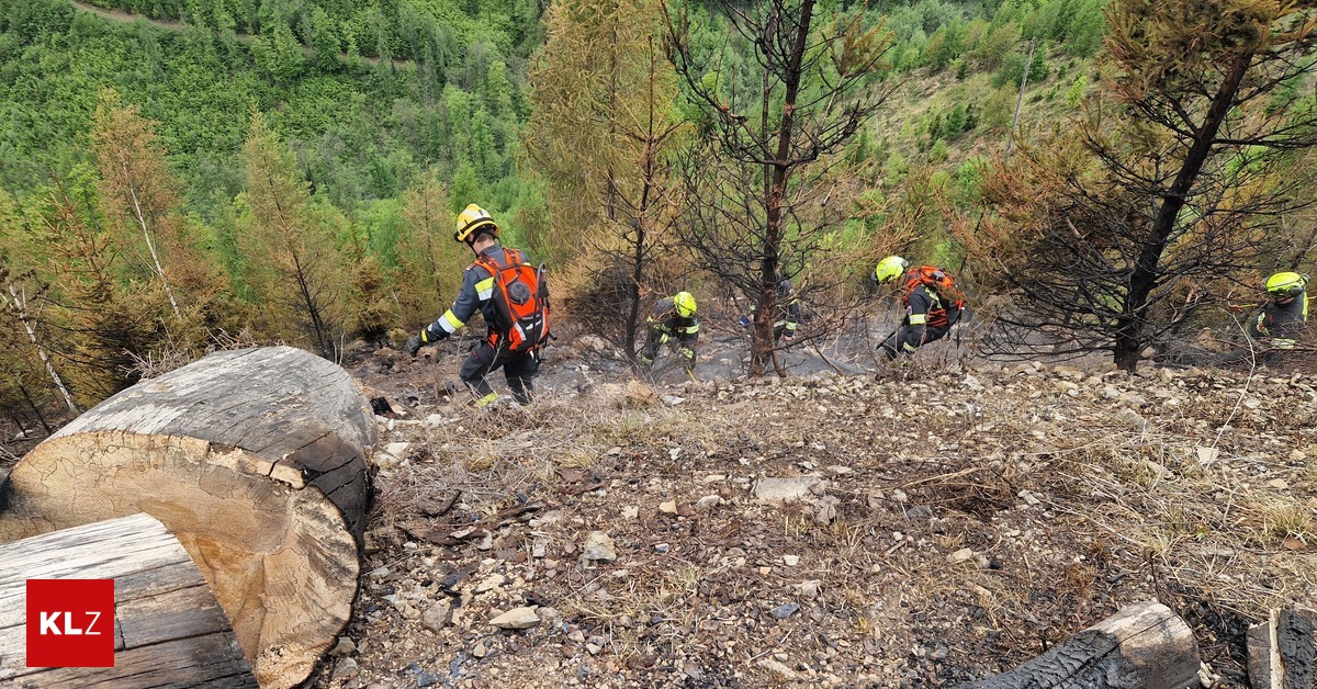 Grazer-Umland-Blutende-Herzen-aber-auch-ganz-viel-Solidarit-t-im-steirischen-Waldbrandgebiet