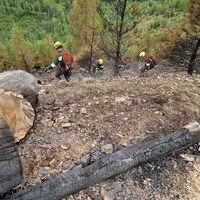 Feuerwehrtrupps bekämpfen Glutnester ohne Verschnaufpause