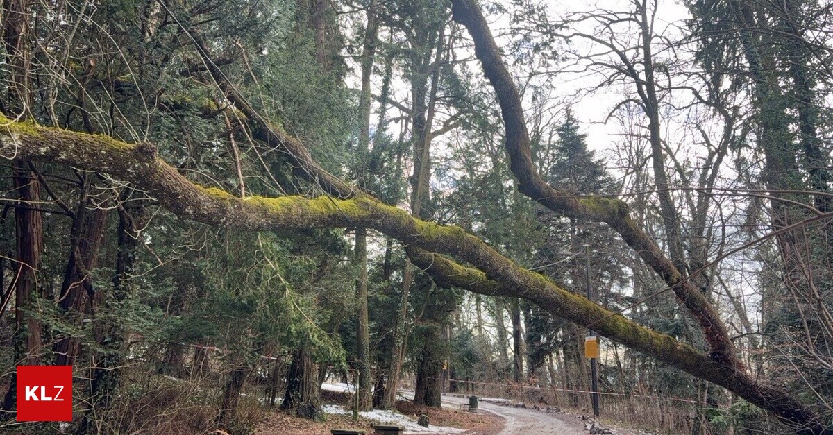 Nach-Schneesch-den-Hauptweg-am-Buchkogel-ist-wieder-frei-Abzweigungen-bleiben-gesperrt