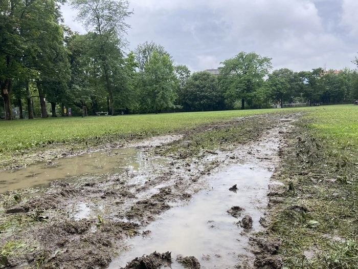 Verwüstet: Die Fußballwiese im Augarten