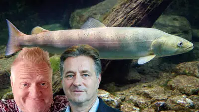 Fotomontage mit dem Fisch und den Köpfen beider Herren