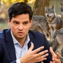 im Vordergrund Umweltlandesrat Hannes Amesbauer, im Hintergrund eine Gruppe Wölfe in einem Wald