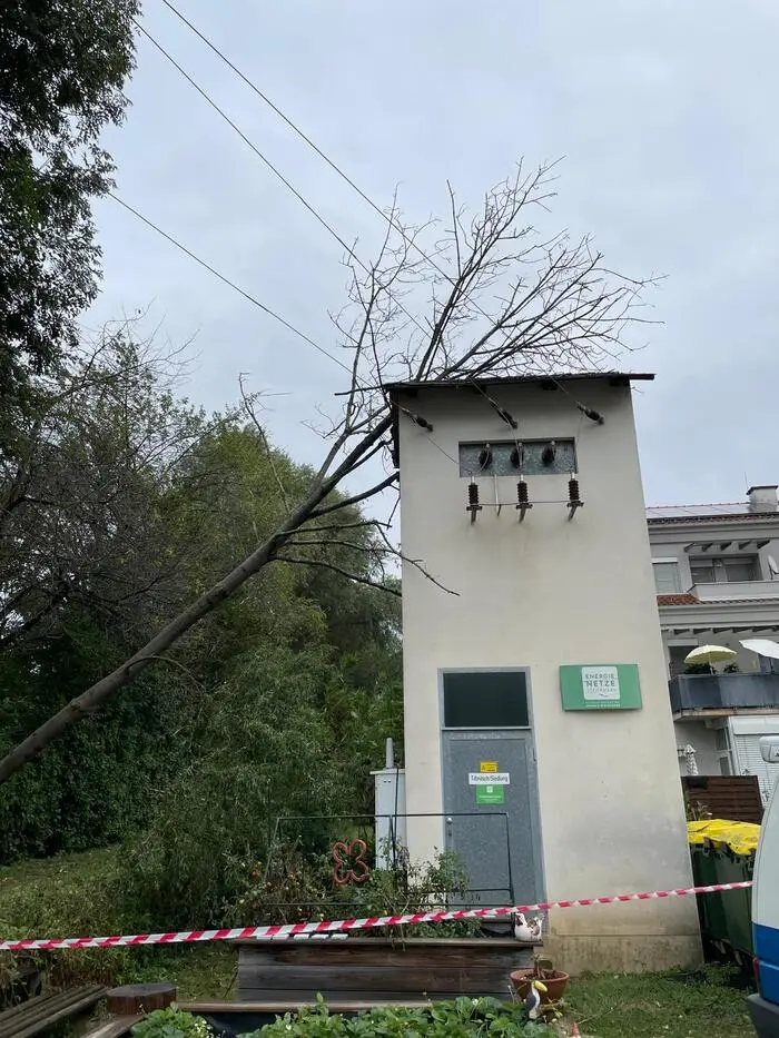 In der ganzen Steiermark wurden mehrere hundert Trafostationen durch umgestürzte Bäume beschädigt