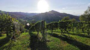 Am Samstag strahlte die Sonne auf die südsteirischen Weinberge in Leibnitz, wo über 23 Grad gemessen wurden - auch der Sonntag hat viel Sonne im Gepäck