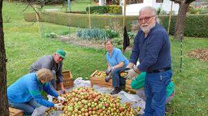 Obst- und Gartenbauvereine nehmen sich dem Erhalt der Streuobstkultur an