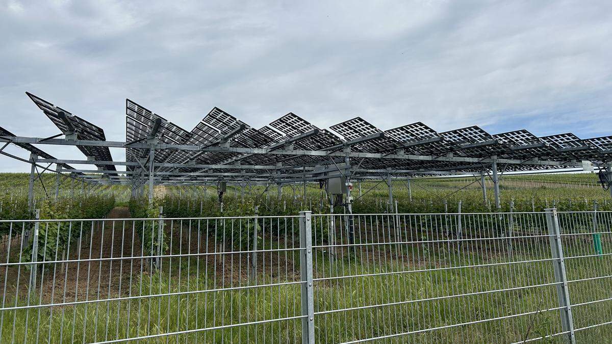 Das Reallabor für Photovoltaik im Weinbau in Hessen (D) 