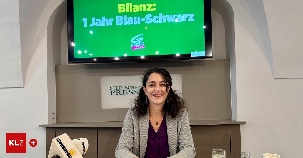 Ein-Jahr-Blau-Schwarz-Gr-ne-gei-eln-die-Koalition-der-R-ckschritte