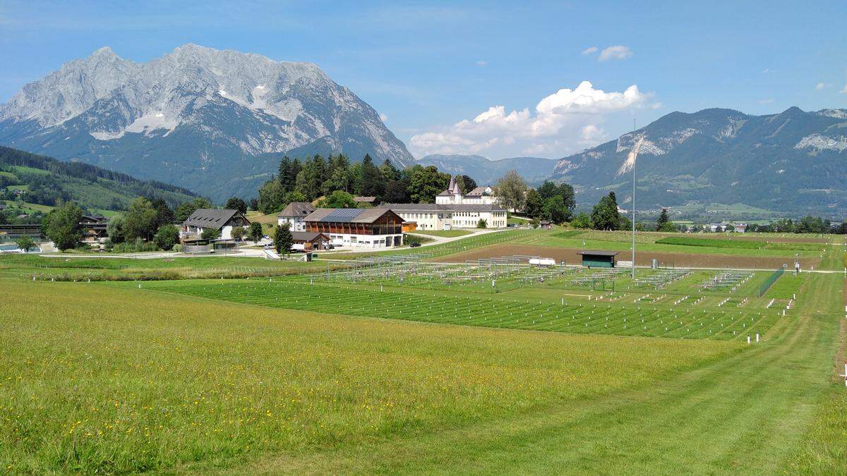 In der idyllischen Landschaft am Fuße des Grimming wird an der landwirtschaftlichen Zukunft geforscht