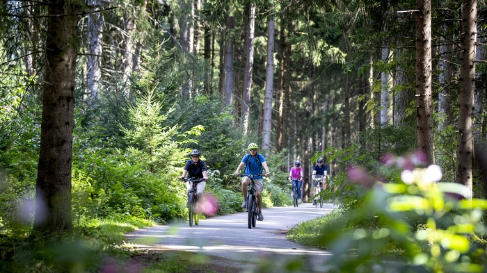 Eine Gruppe Radreisende fährt durch ein Waldstück auf einem asphaltierten Radweg