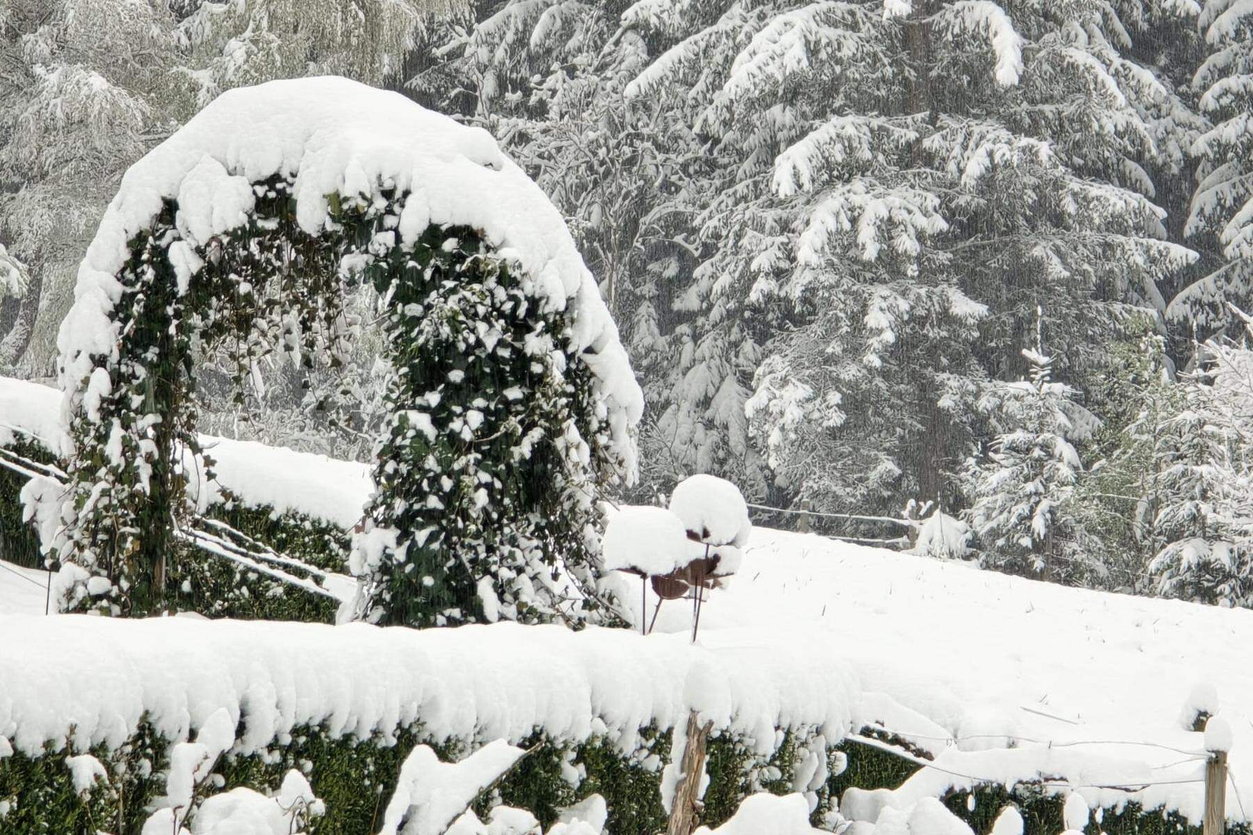 Stromausfall, Unfälle, Stau: Schneefall in der Steiermark sorgt für Chaos