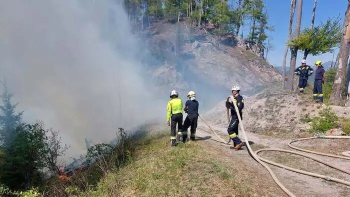 Waldbrandeinsätze (hier in Eisbach-Rein) sind enorm personalintensiv