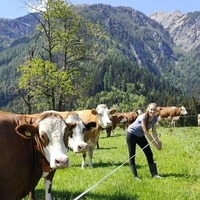 Heidi Kaufmann-Ferstl liebt es, Landwirtin und Fleckviehzüchterin zu sein