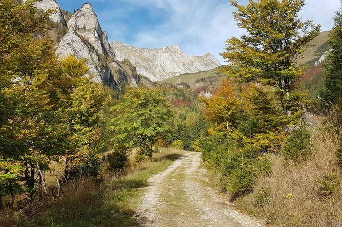 „Der Herbst in den letzten Atemzügen“, geknipst von Wolfgang Halm.