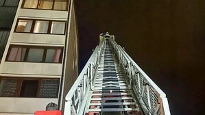 Nur mit einer Drehleiter konnte der Falke in 27 Metern Höhe von der Feuerwehr befreit werden