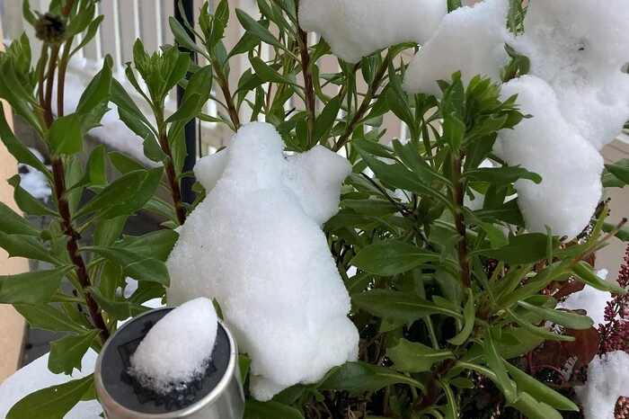 Ein Schneehauberl zum Schutz oder als Verzierung