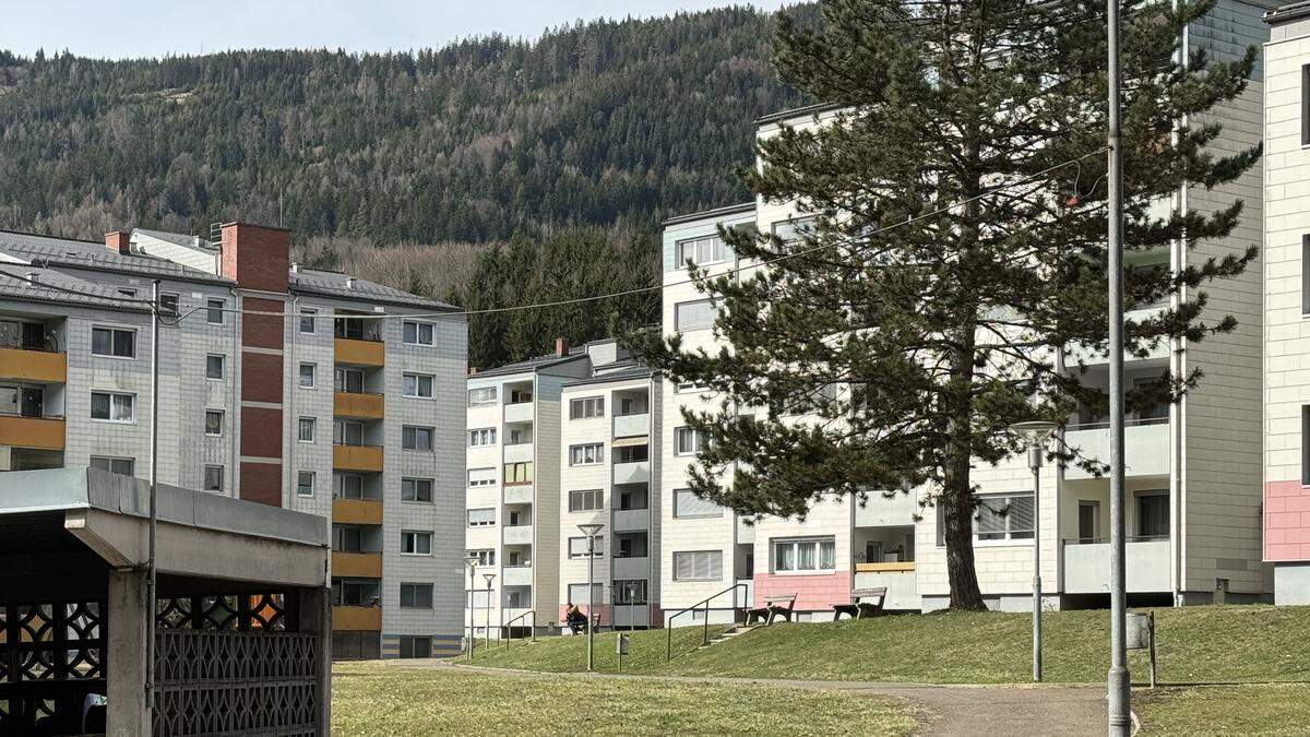 Die Fernwärmekosten der Siedlung Seegrabenstraße und Stollenweg in Leoben waren Thema einer Mieterversammlung 