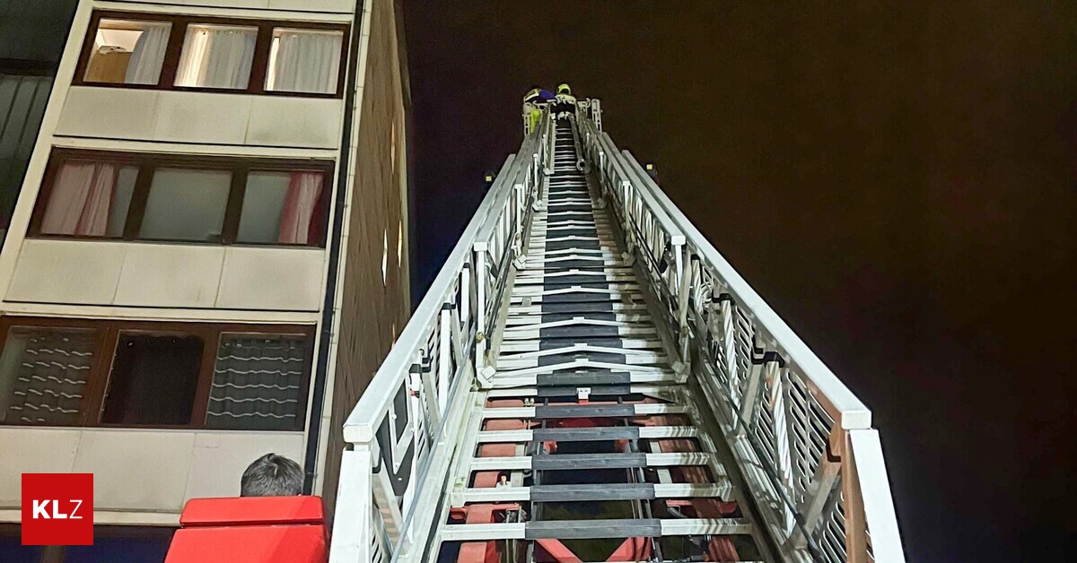 Zu-schwer-verletzt-Eingeklemmter-Falke-verstarb-nach-umfangreichem-Rettungsversuch