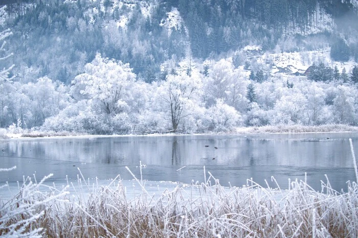 Eine verzauberte Winterlandschaft in Wald am Schoberpass