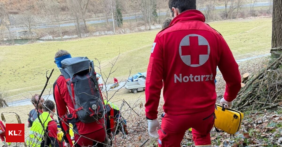 Von Baum getroffen: Waldarbeiter mit Gebirgstrage 150 Meter ...