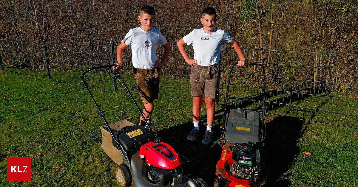 Wenn-sie-Rasenm-her-anstarten-schauen-sich-das-Hunderttausende-an