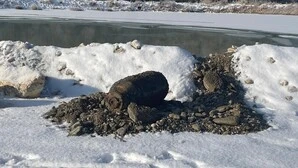 Die Fliegerbombe, die für stundenlange Sperren und Evakuierungen sorgte