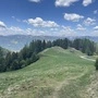 Noch fehlen die Kühe auf der Alm