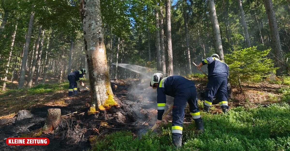 Fourth forest fire within days: Mürztal fire service in constant use