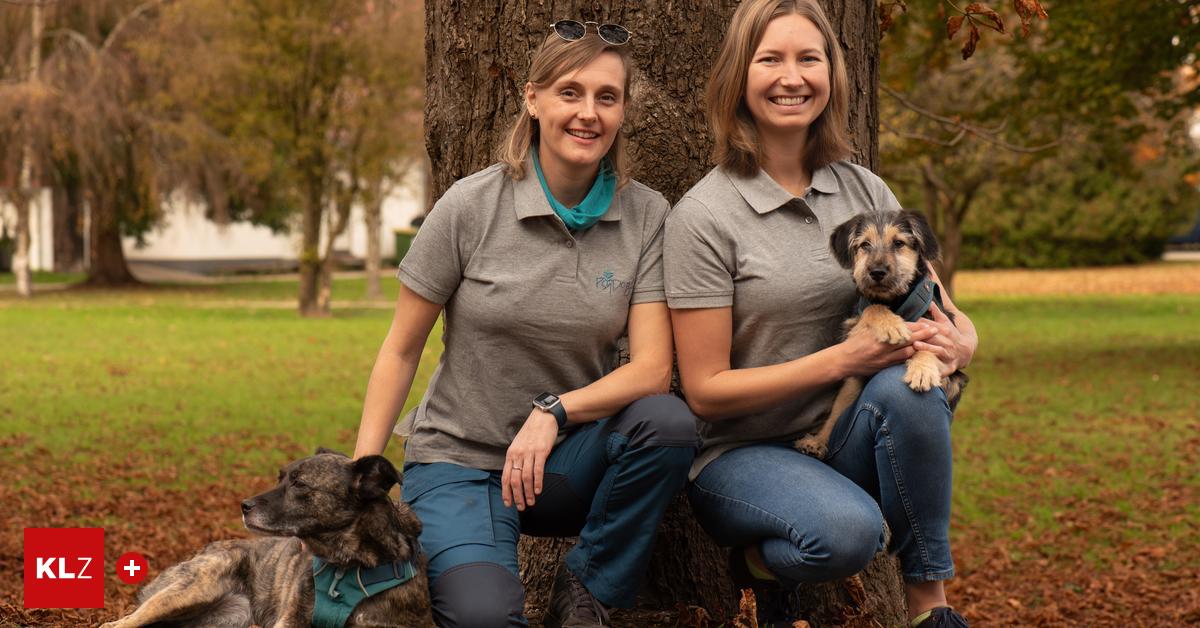 Ausbildung-im-M-rztal-Wie-sanfte-Hundepfoten-Gro-es-leisten