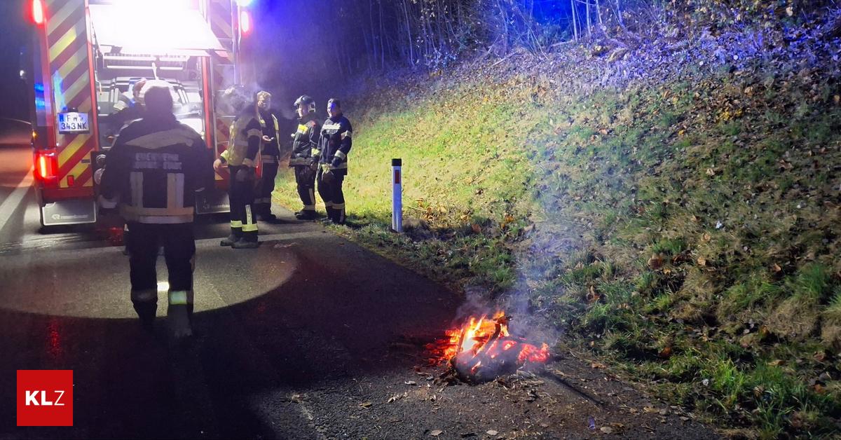 Lagerfeuer-auf-der-Schnellstra-e-rief-Feuerwehr-auf-den-Plan