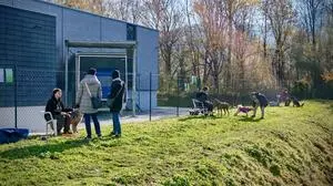 Jeder Hund konnte in lockerer Atmosphäre kennengelernt werden