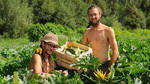 Valentin Riegler (rechts) mit seinem Mitarbeiter bei der Ernte