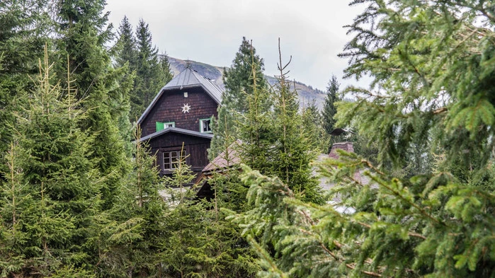 Nach Anmeldung können die Bäume am 6. und 7. Dezember beim Karl-Lechner-Haus am Stuhleck abgeholt werden