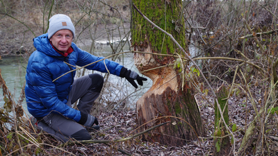 Christian Ankrisch vor einem Baum, der vermutlich bald fallen wird