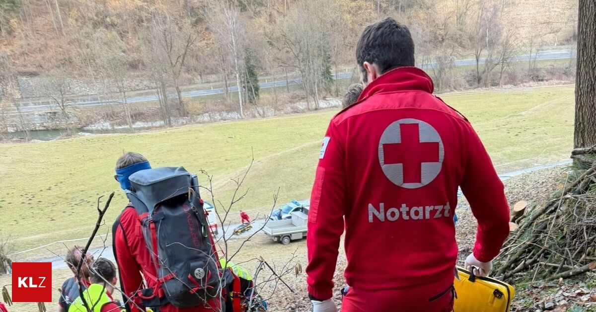 Von-Baum-getroffen-Verletzte-mit-Gebirgstrage-150-Meter-abtransportiert