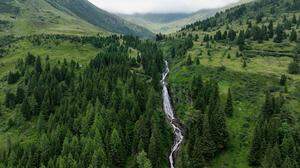 Die Mur fließt durch die Wälder bei Murau