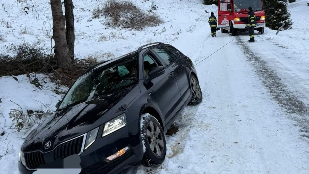 Das Auto kam vom Weg ab