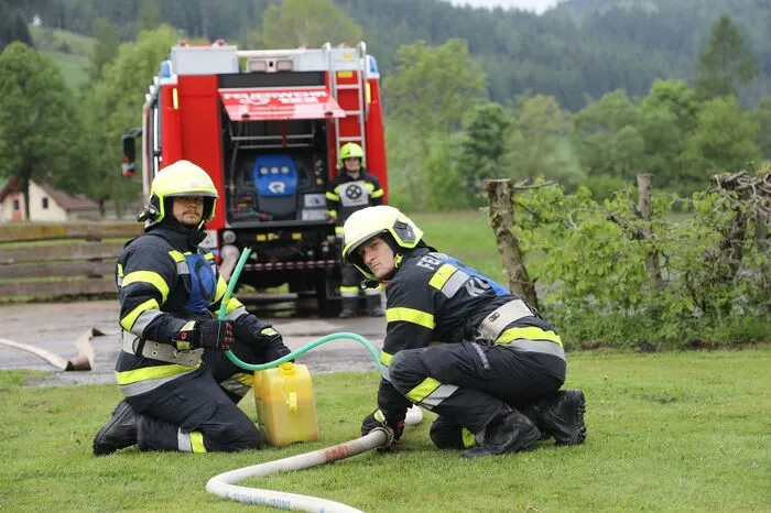 Zweck der Branddienstleistungsprüfung ist es die Vertiefung und Erhaltung der Kenntnisse im Branddienst, geordnetes und zielführendes Zusammenarbeiten von Feuerwehrmännern einer oder auch mehrerer Feuerwehren und richtiges sicheres Arbeiten in einen vorgegebenen Zeitrahmen zu trainieren.
 