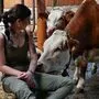 Verena Schöllauf mit ihren Kühen in Obdach