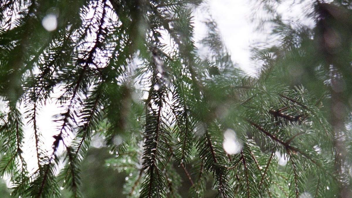 Auch im Wald und auf den Bergen ist man als Frau nicht sicher