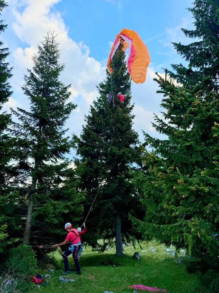 Die Grazer Bergrettung holte den jungen Steirer von der Fichte. 