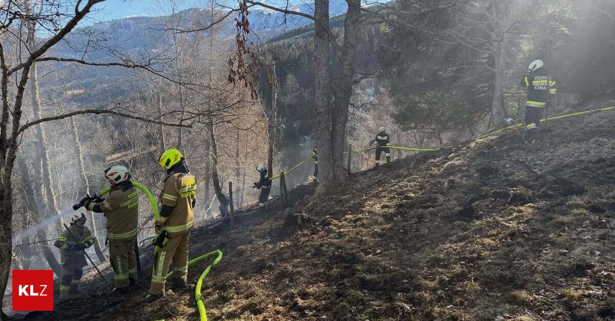Waldbrand-in-Predlitz-Feuerwehren-waren-stundenlang-im-Einsatz