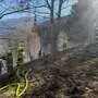 Feuerwehrleute in einem kargen, abschüssigen Waldstück, ein gelber Löschschlauch ist zu sehen