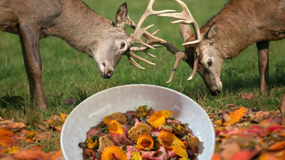 Wie die Lust auf heimisches Wildbret ankurbeln?