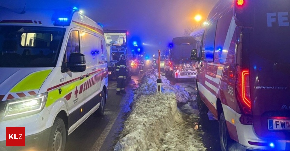 Besitzer-verletzte-sich-bei-Brand-als-er-Tiere-aus-Stall-rettete