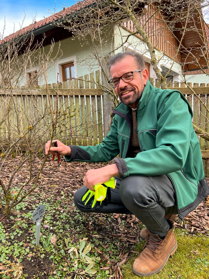 Karl Ploberger beim Schneiden der Ribiseln