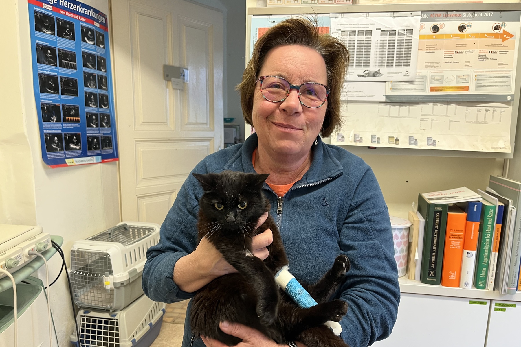 Sechs Katzen vergiftet: Tierärztin aus Pöllau warnt vor Giftködern