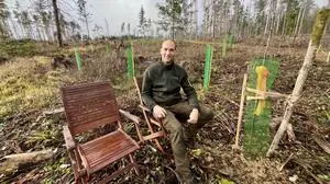 Der Haidenwald bei Schildbach: „Es wurden auch Grundstücke zusammengelegt, um die Aufforstung zu erleichtern“, erklärt Forstwart Thomas Weber